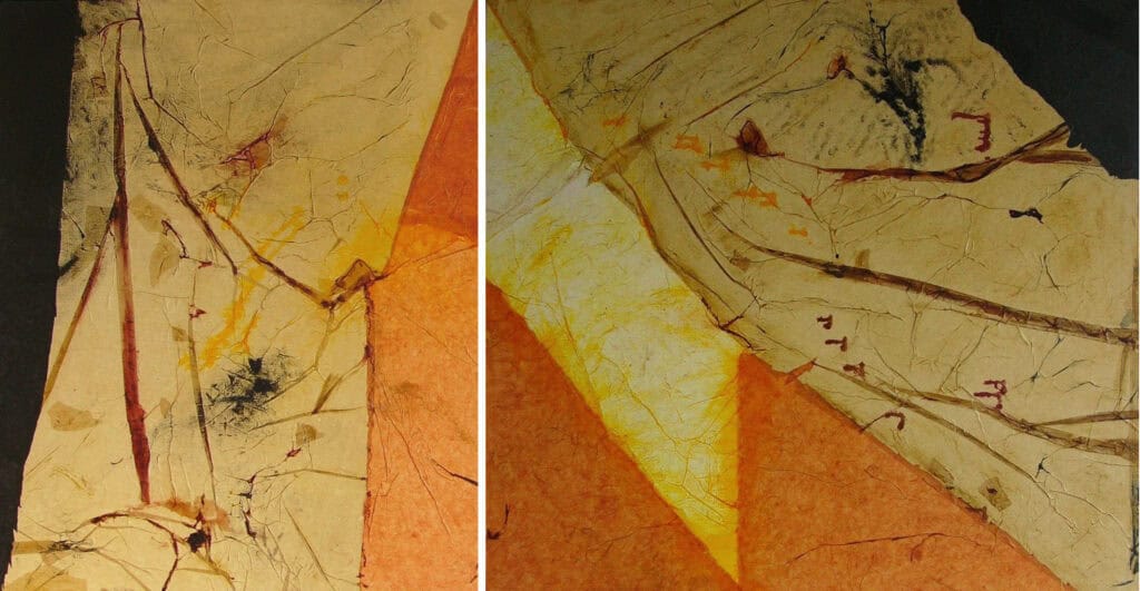 Lumière sur le jardin